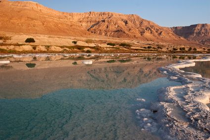Reclaiming the Dead Sea: Alternatives for Action